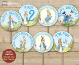 Peter Rabbit Birthday Cupcake Toppers Party Circle for Age 2