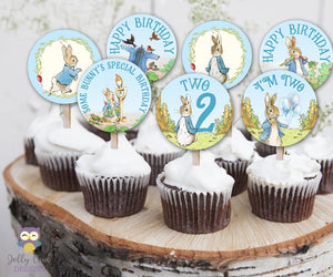 Peter Rabbit Birthday Cupcake Toppers Party Circle for Age 2