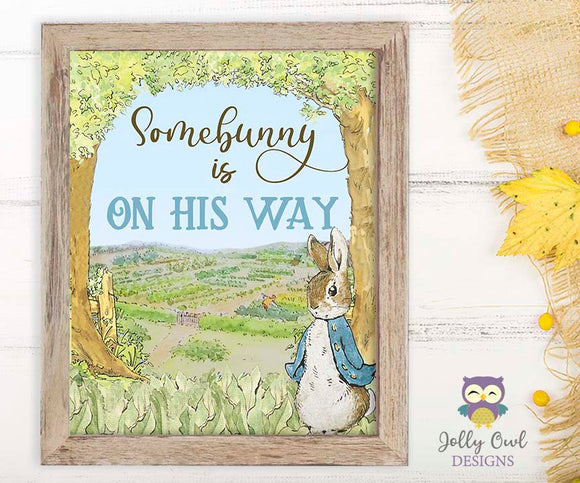 Peter Rabbit Birthday Party Signs - Somebunny Is On His Way