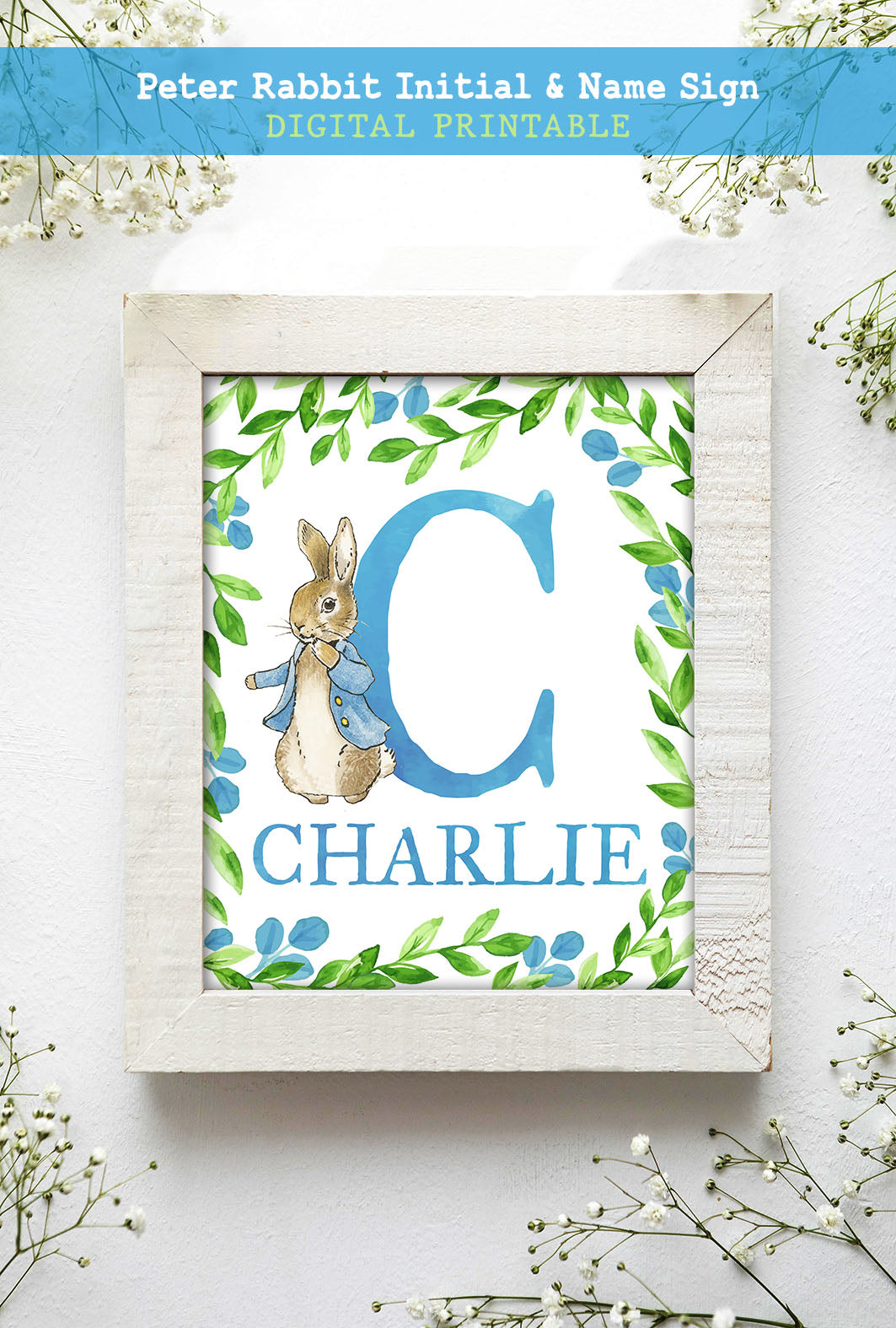 Peter Rabbit Personalized Initial and Name 8x10 Inches Sign – Jolly Owl ...