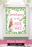 Peter Rabbit-Flopsy Bunny Baby Shower Party Signs - Somebunny Is On Her Way