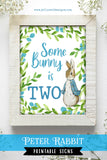Peter Rabbit Birthday Party Signs - Somebunny Is Two